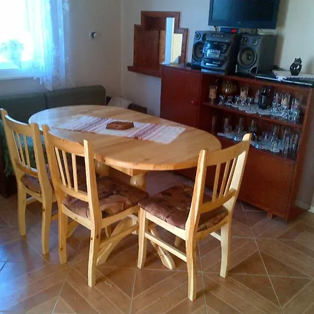 Bor Pensiune Businţi