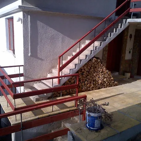 Πανσιόν Bor Busintsi