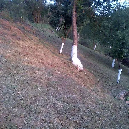 Bor Pensiune